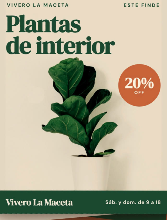 Flyer de un vivero: plantas de interior con descuento